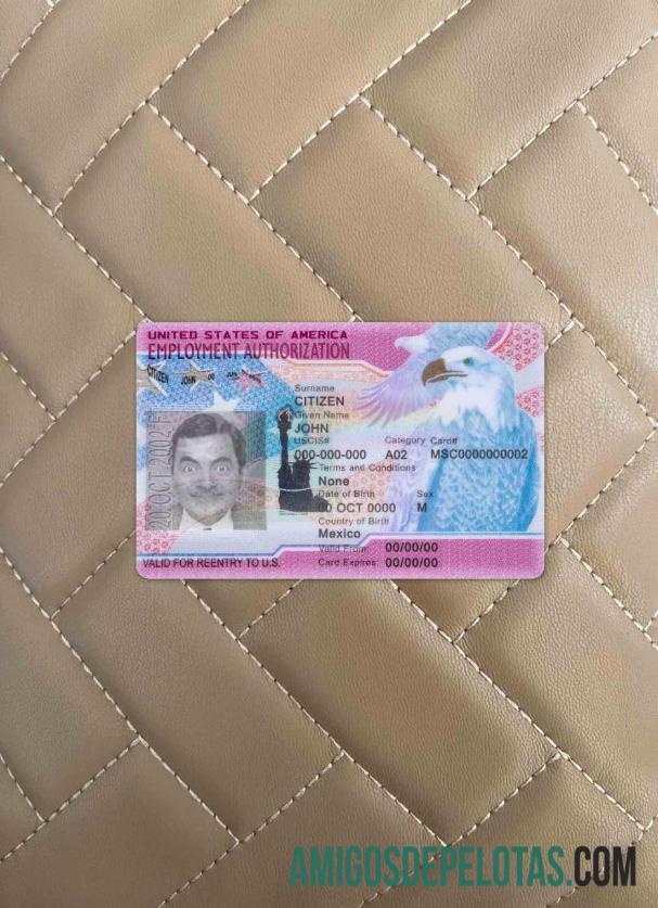 USA Employment Authorization olhar de foto frente amostra